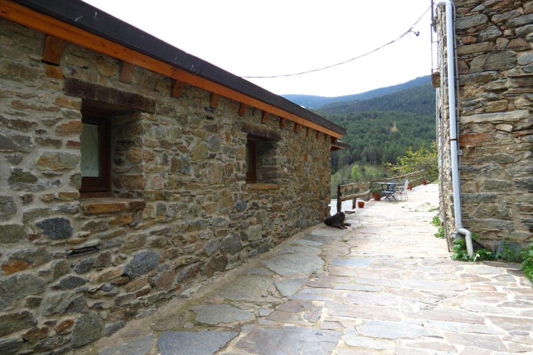 Photo of Others in Fornells de la Muntanya