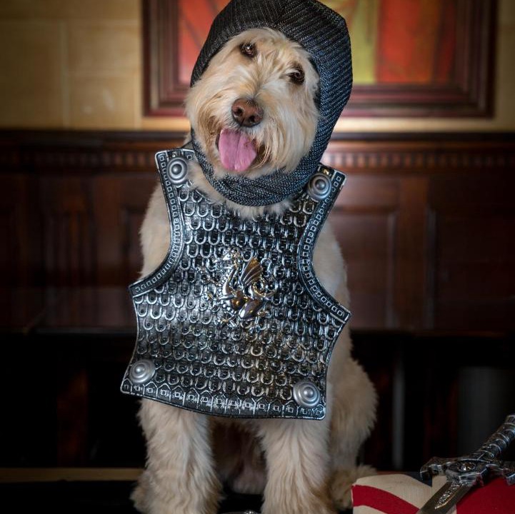 Photo of Livingroom in Aberfoyle