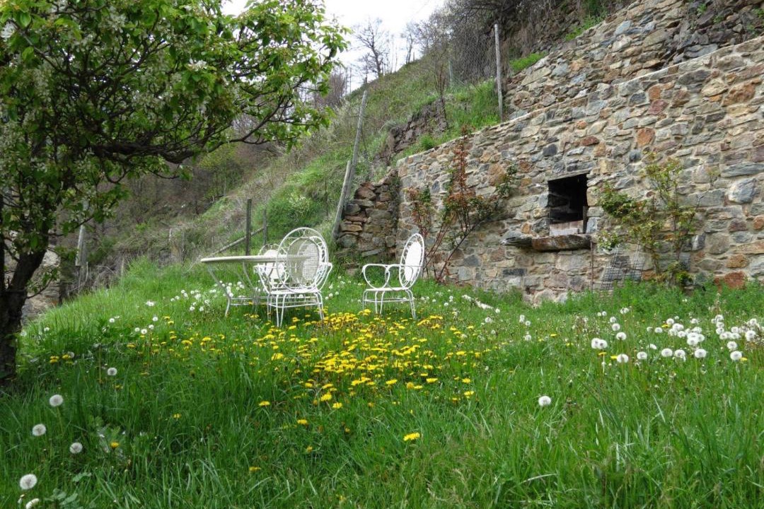 Photo of Others in Fornells de la Muntanya