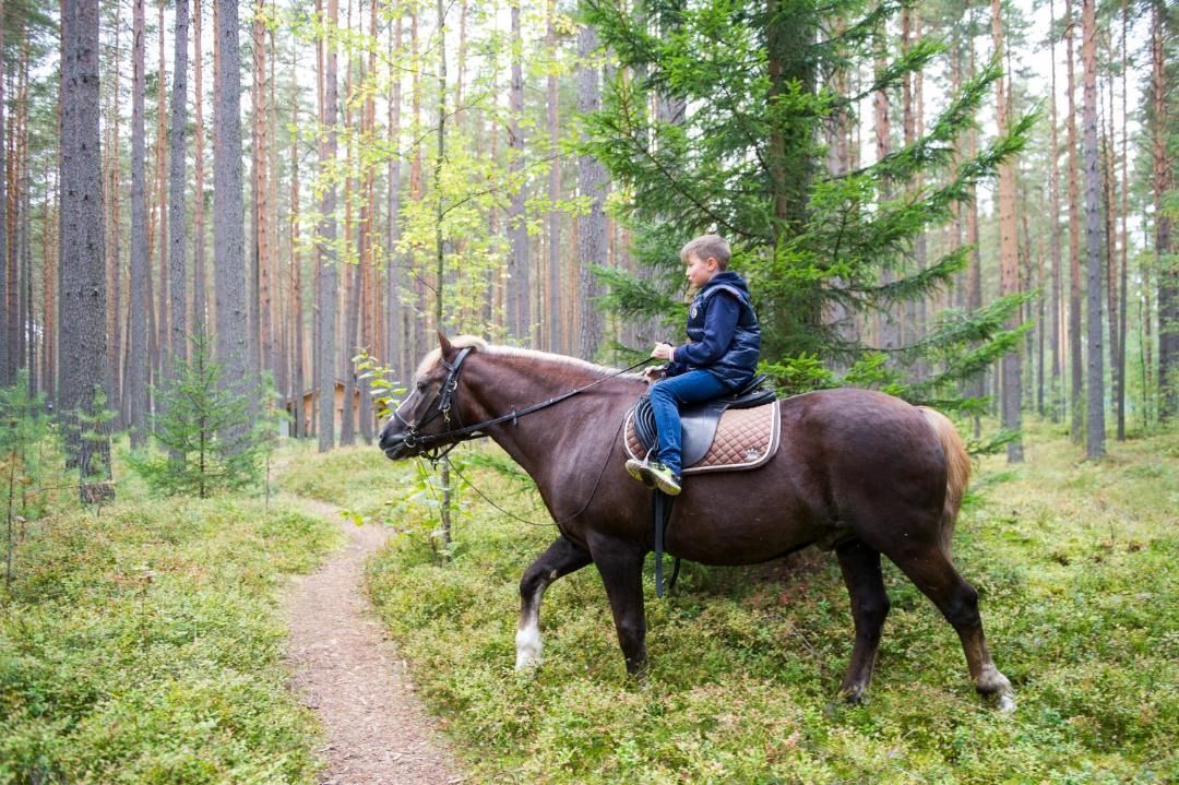 Photo of Others in Petrovskoye