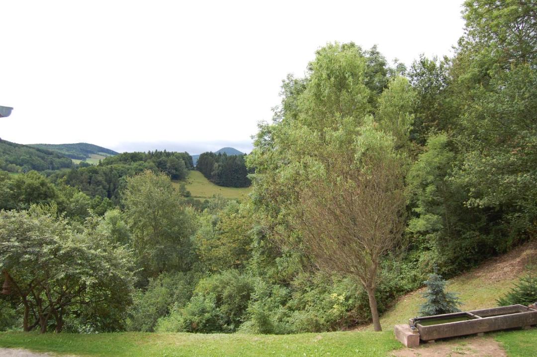 Photo of Others in Lapoutroie