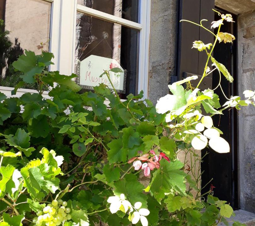 Photo of Others in Vezelay