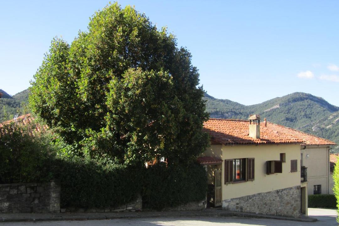 Photo of Others in Borreda