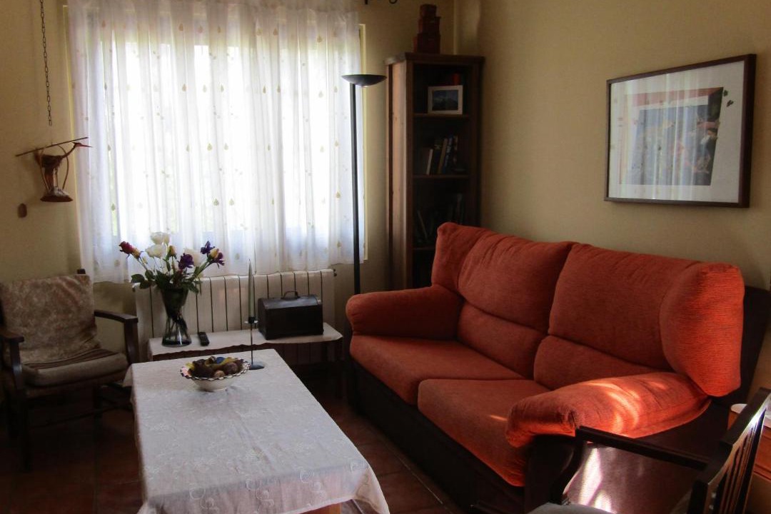 Photo of Livingroom in Borreda