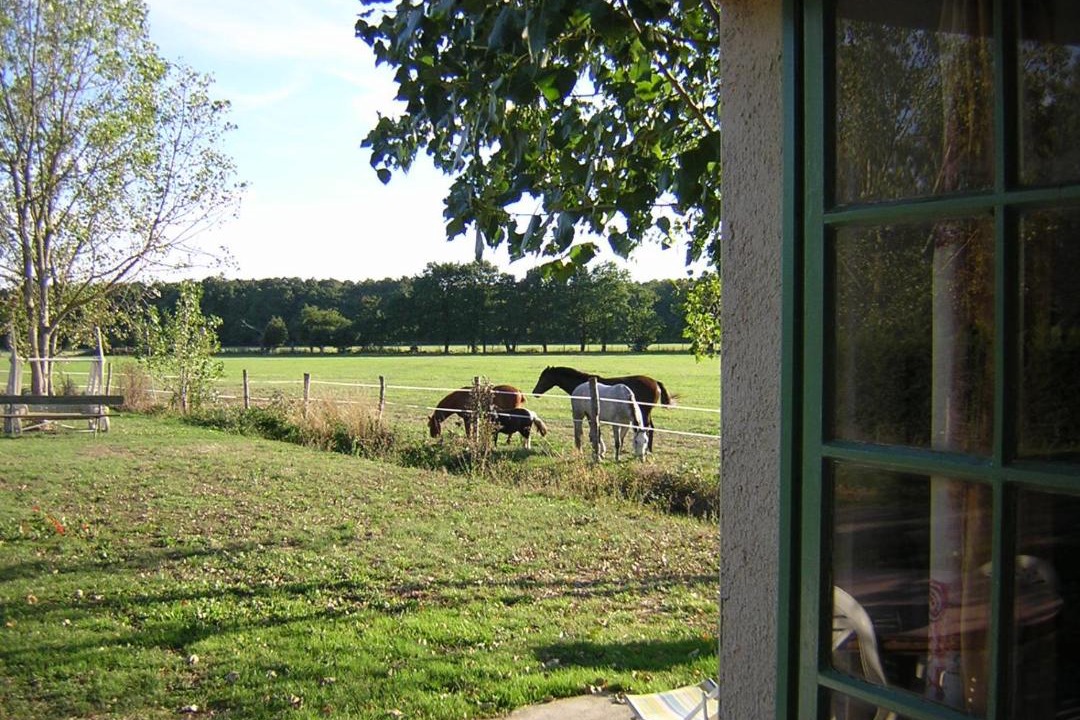 Photo of Others in Chateauneuf-sur-Sarthe