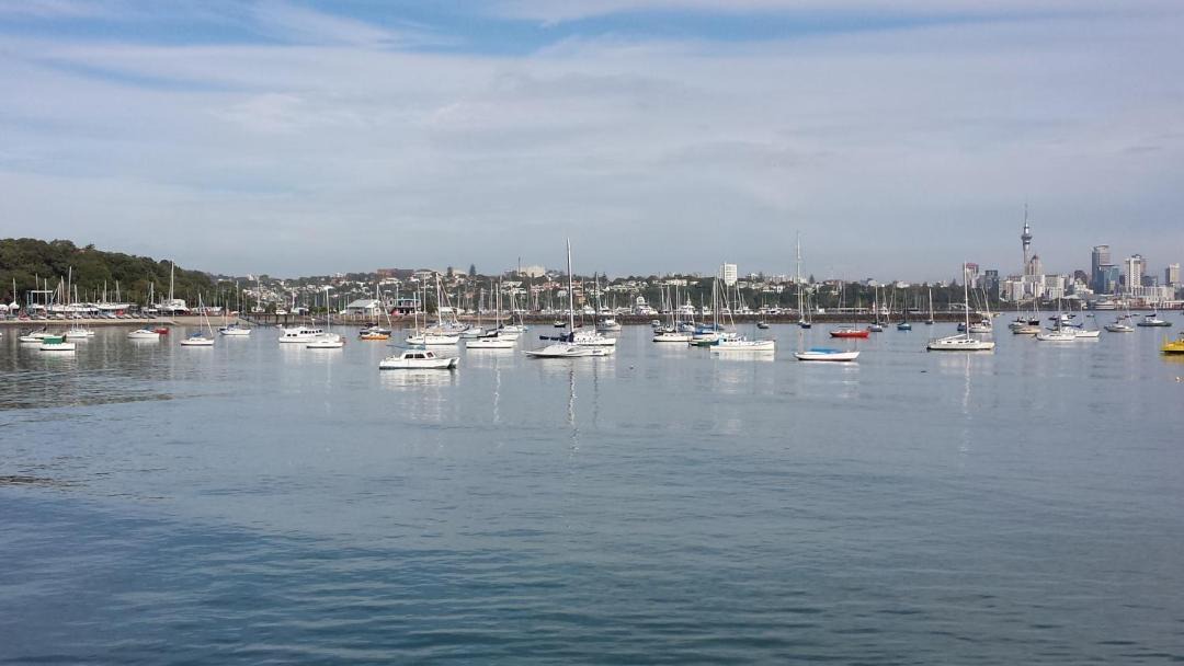 Photo of Outdoor in Kohimarama