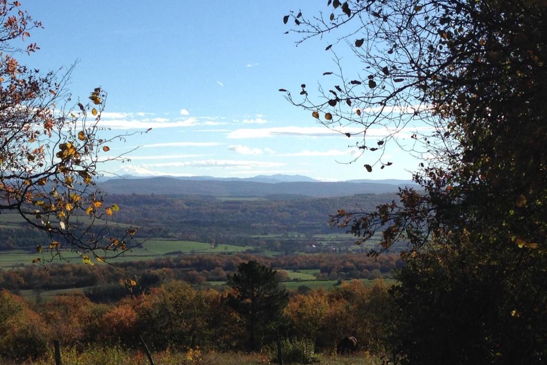 Photo of Others in Senaud