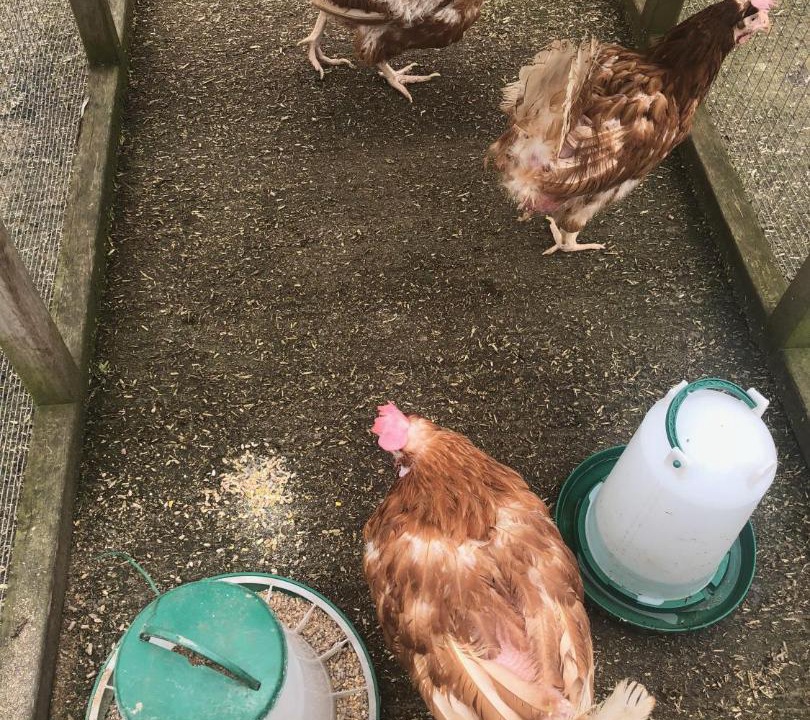 Photo of Bathroom in Moreton