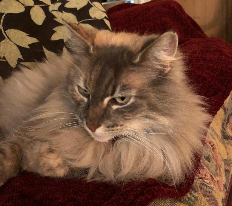 Photo of Bedroom in Moreton