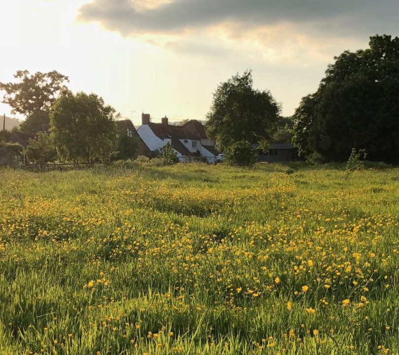 Photo of Outdoor in Moreton