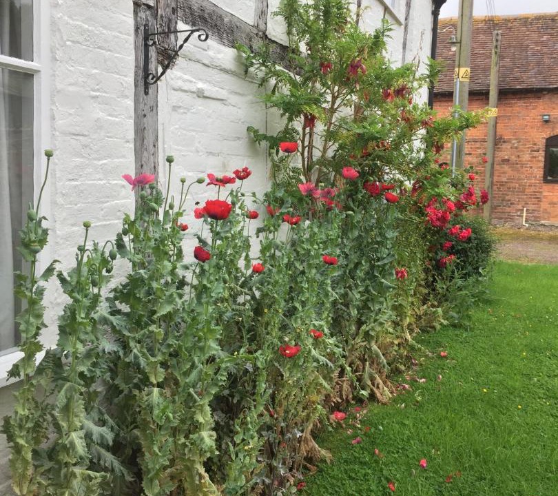 Photo of Buildings in Moreton