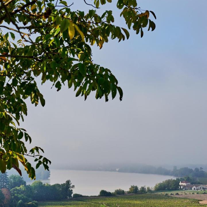 Photo of Outdoor in Fronsac