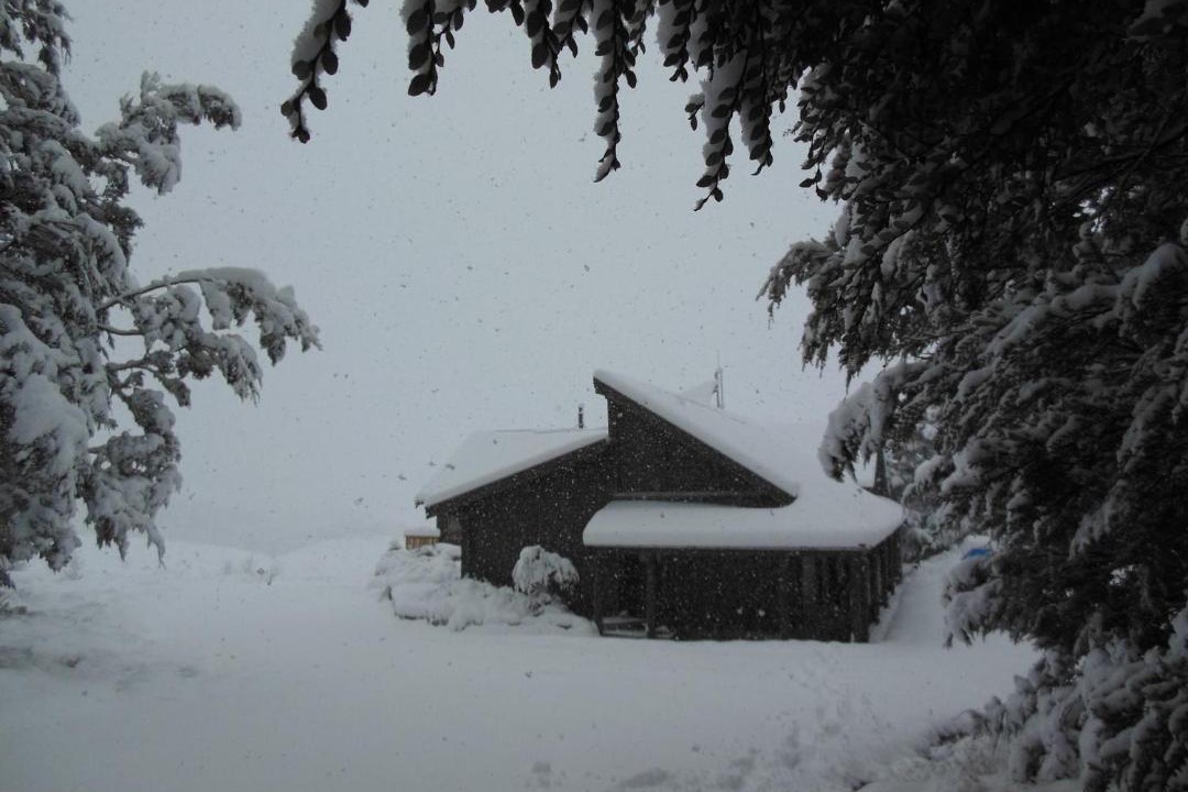 Photo of Others in Castle Hill