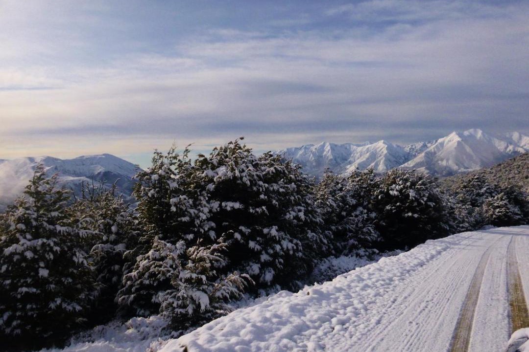 Photo of Others in Castle Hill