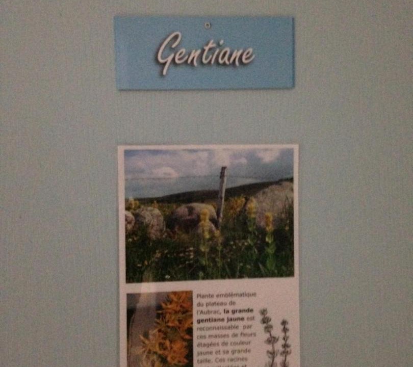 Photo of Others in Laguiole