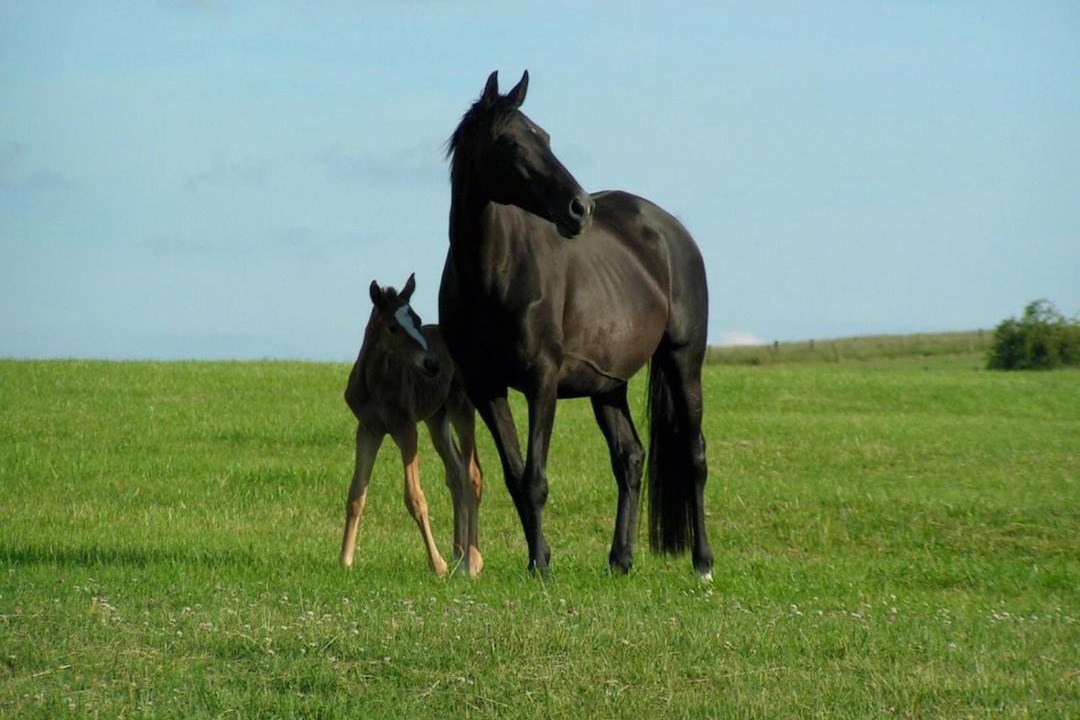 Photo of Others in Balleville