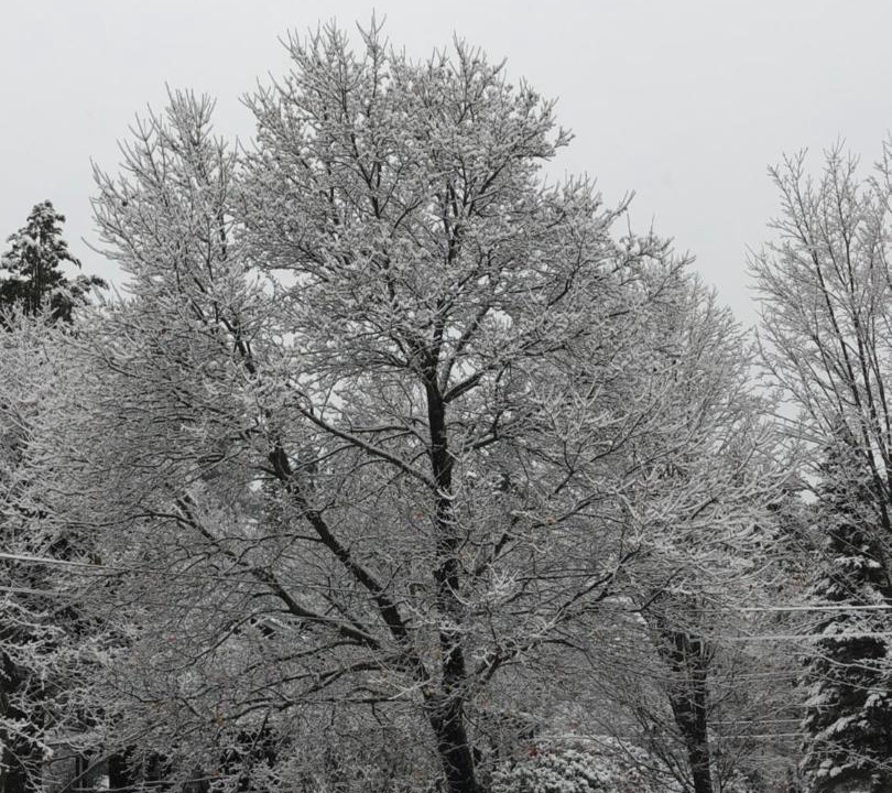 Photo of Others in Windham
