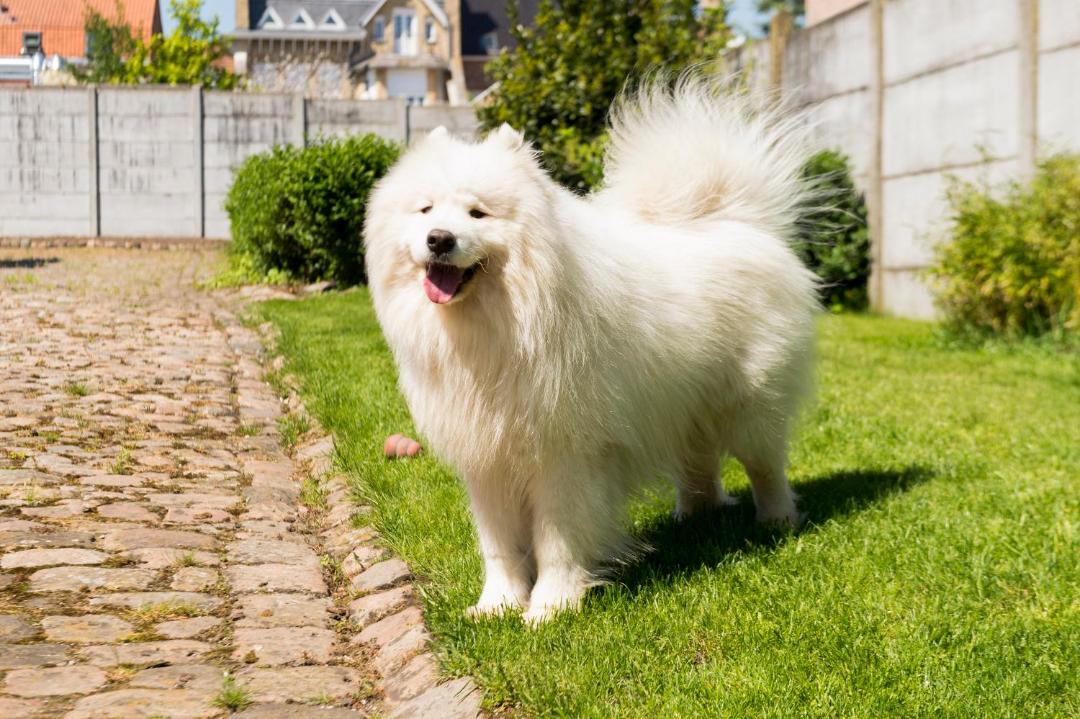 Photo of Others in Bailleul