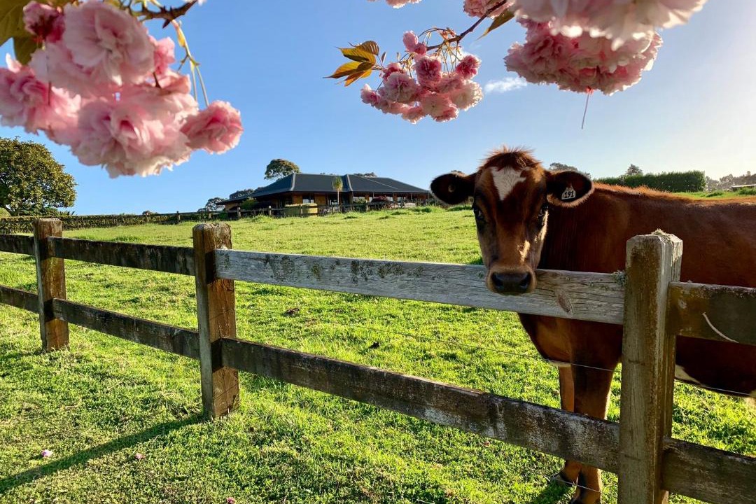 Photo of Others in Bombay