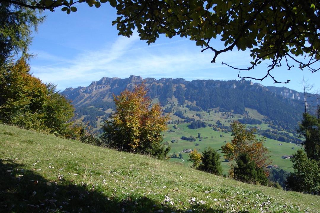Photo of Others in Sigriswil