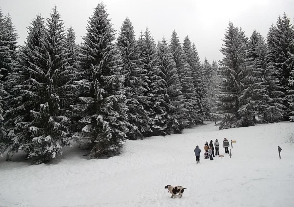 Photo of Others in Les Carroz-d'Araches