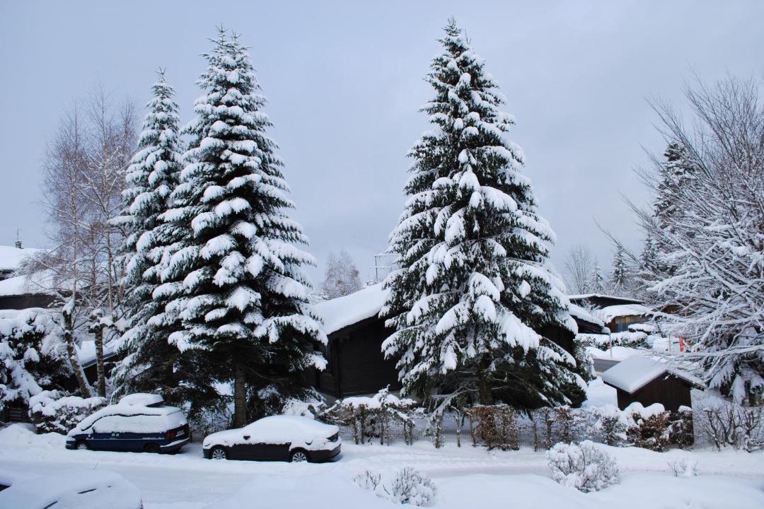 Photo of Buildings in Les Carroz-d'Araches