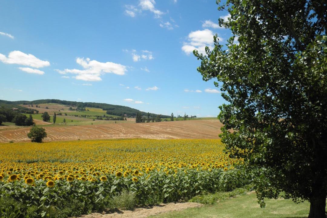 Photo of Outdoor in Cadalen