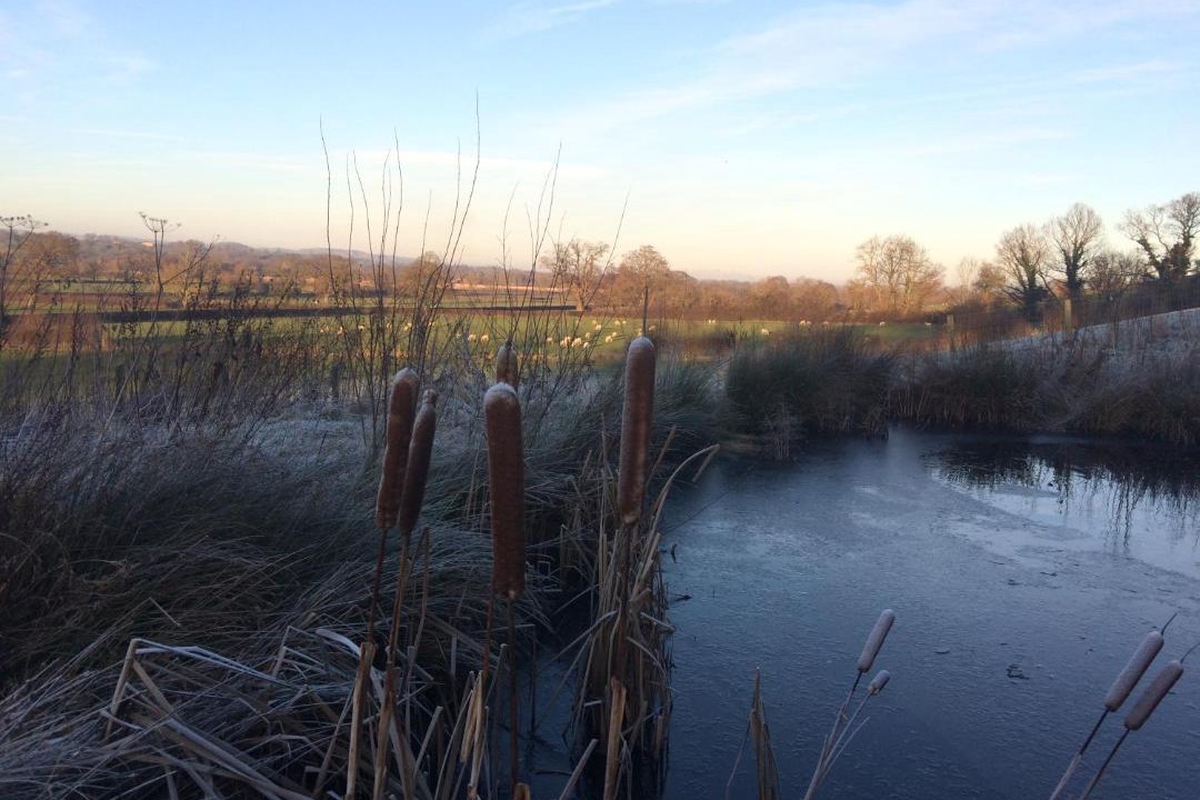 Photo of Outdoor in Guilsfield