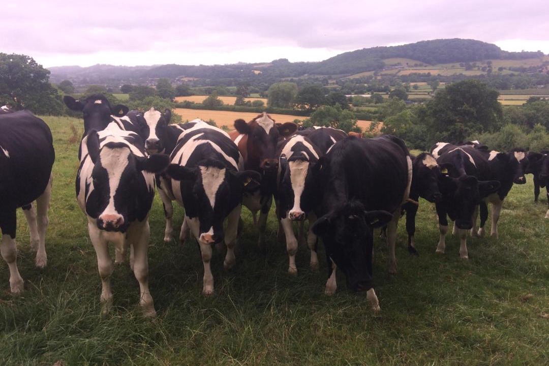 Photo of Others in Guilsfield