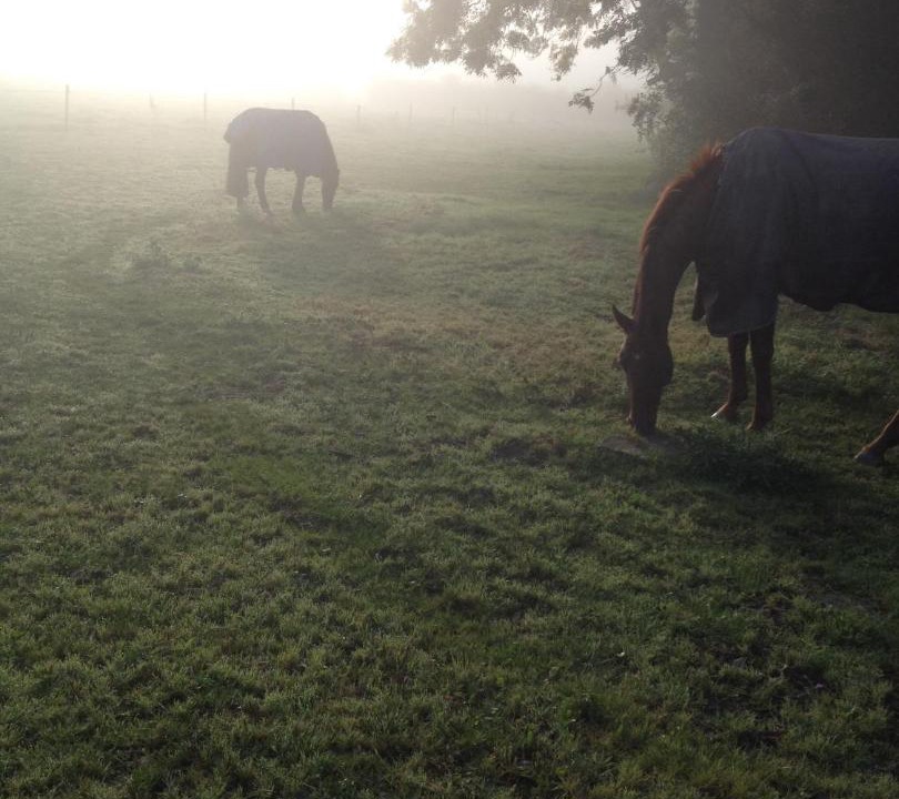 Photo of Others in Guilsfield