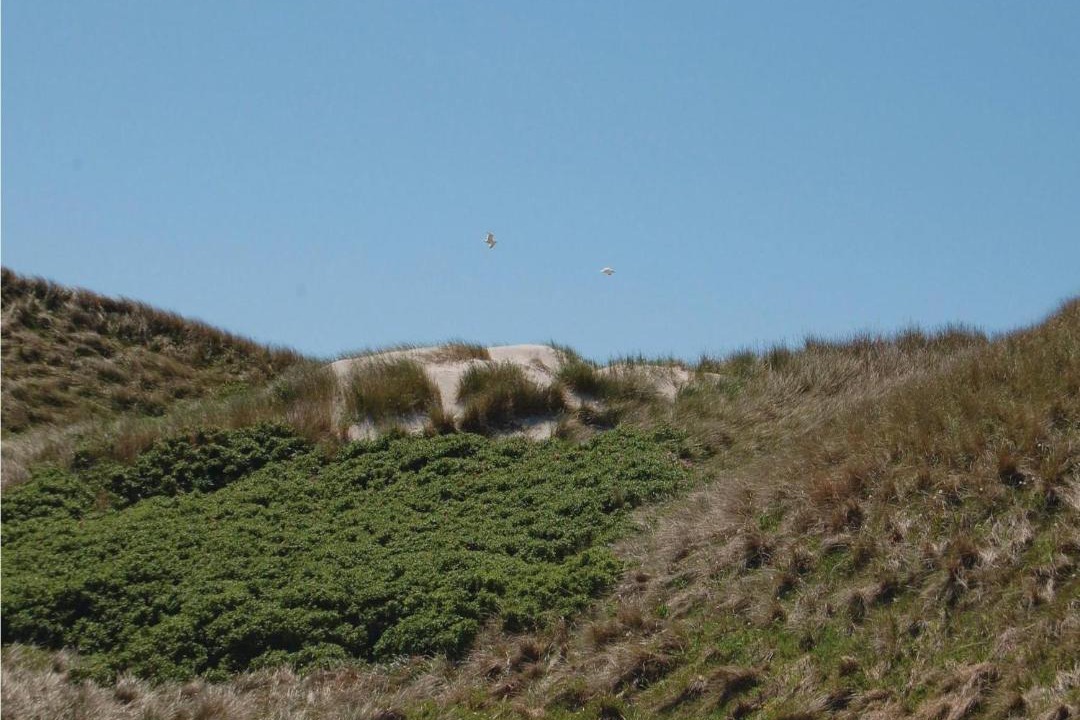 Photo of Outdoor in Argab