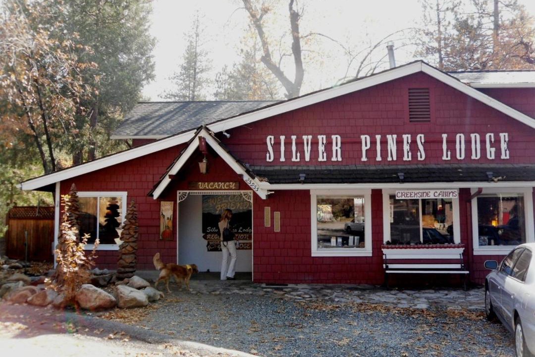 Photo of Others in Idyllwild