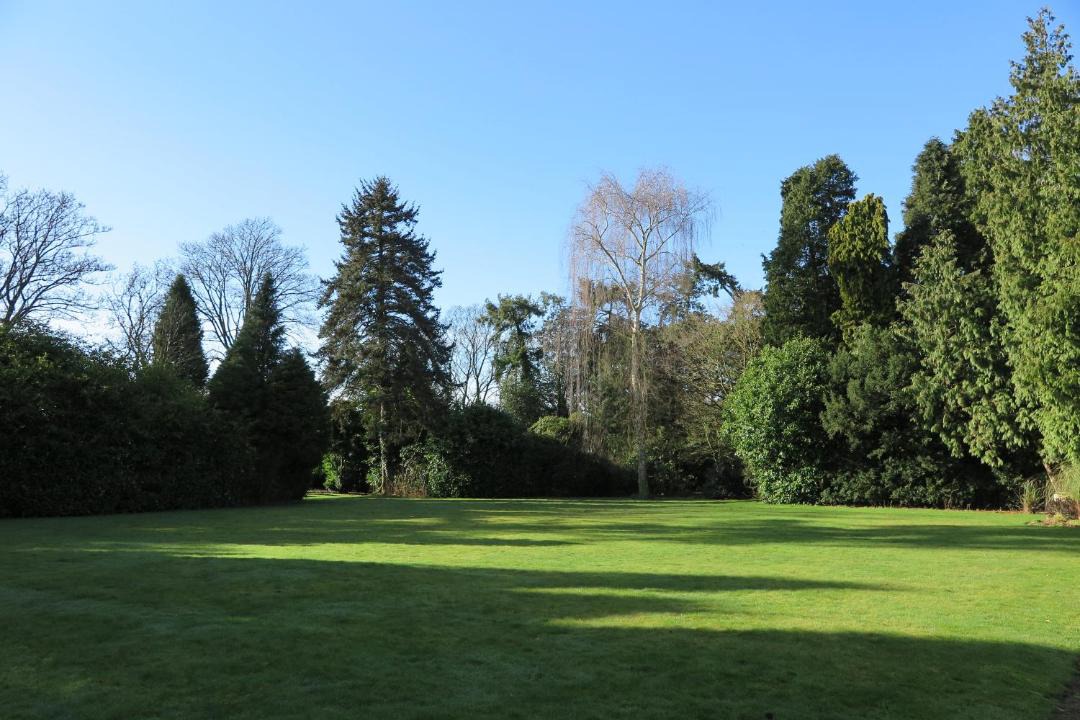 Photo of Others in York