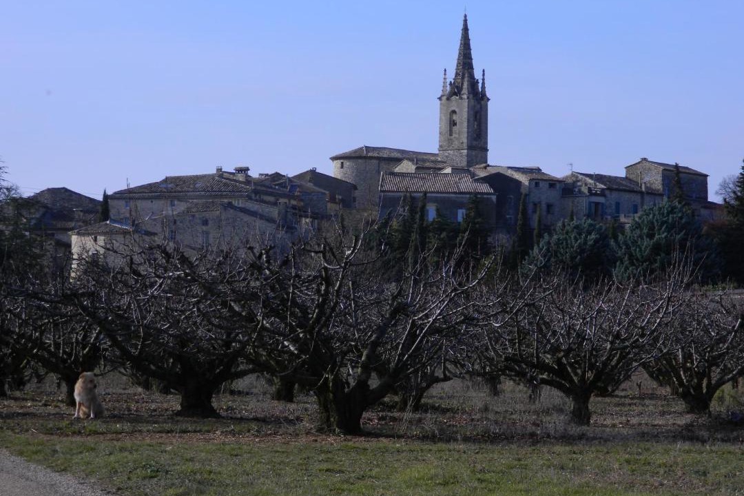 Photo of Others in Issirac