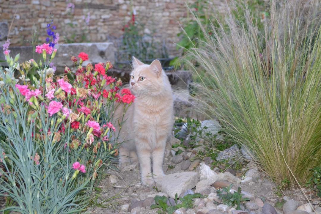 Photo of Others in Courouvre