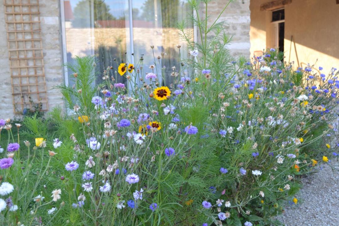 Photo of Others in Courouvre