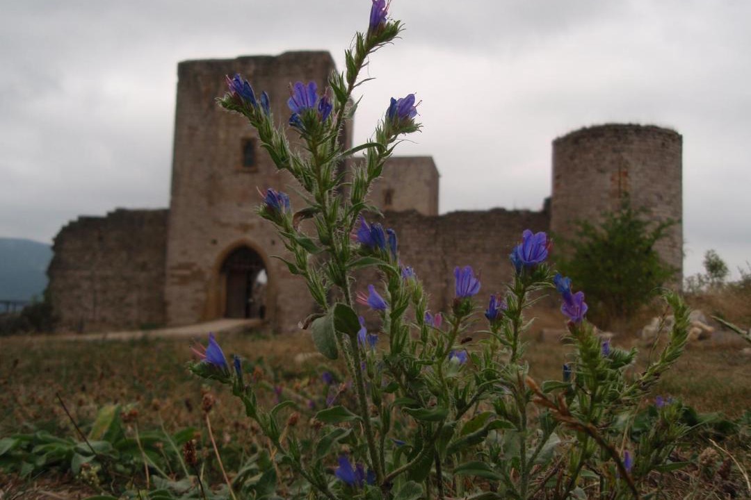 Photo of Others in Montreal