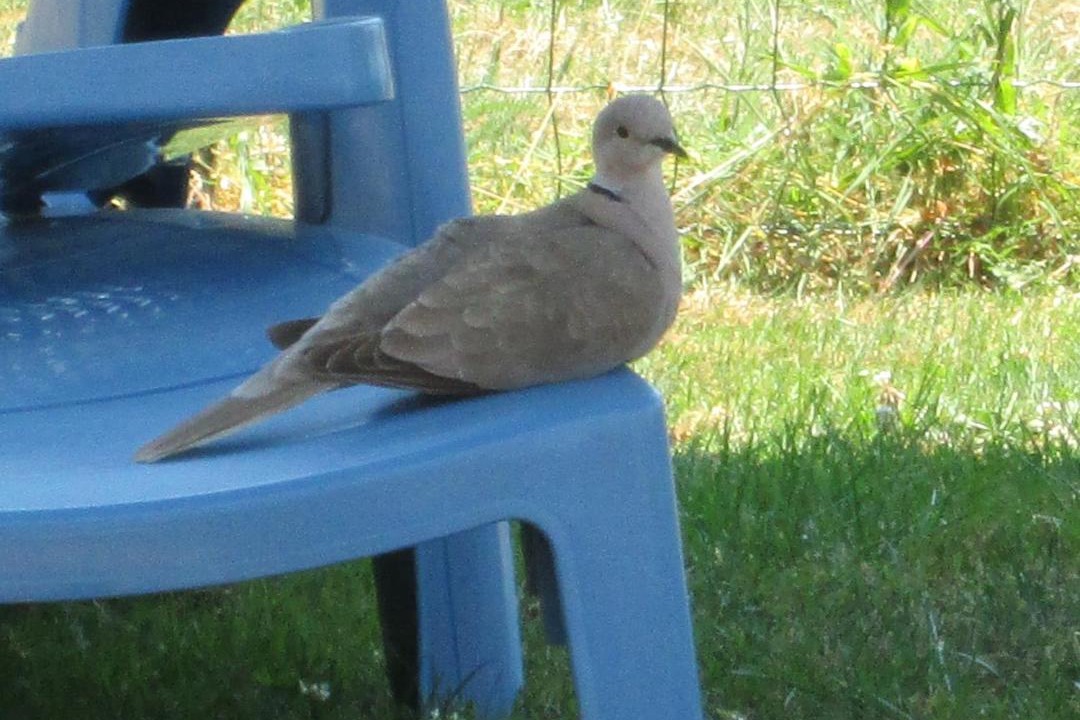 Photo of Others in Mantenay-Montlin