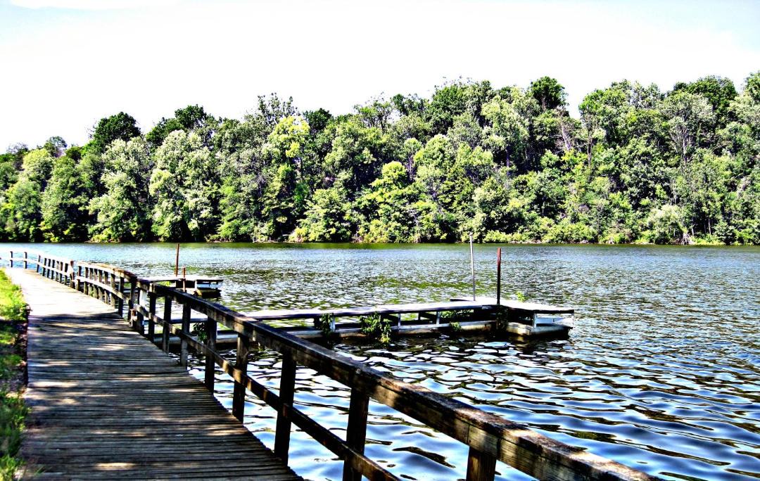 Photo of Patio Balcony in Buchanan