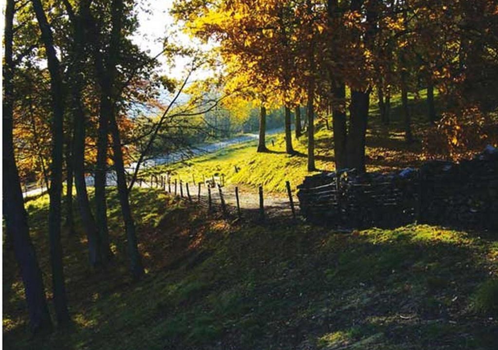 Photo of Outdoor in Glicourt