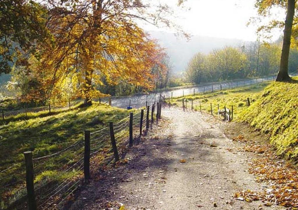 Photo of Outdoor in Glicourt