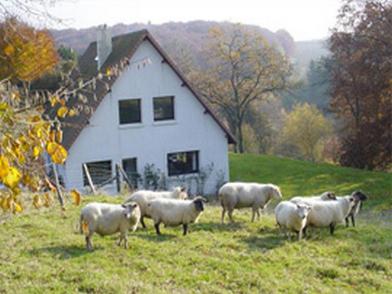 Photo of Buildings in Glicourt
