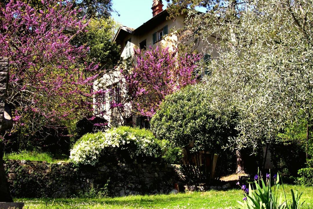 Photo of Others in Sospel