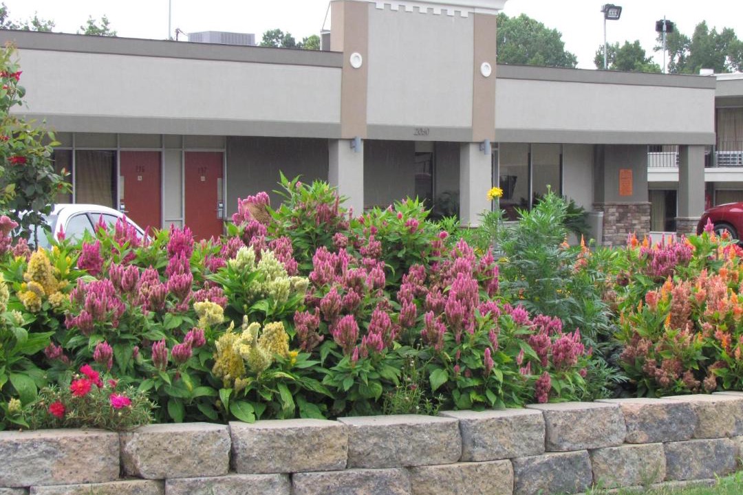 Photo of Buildings in Augusta