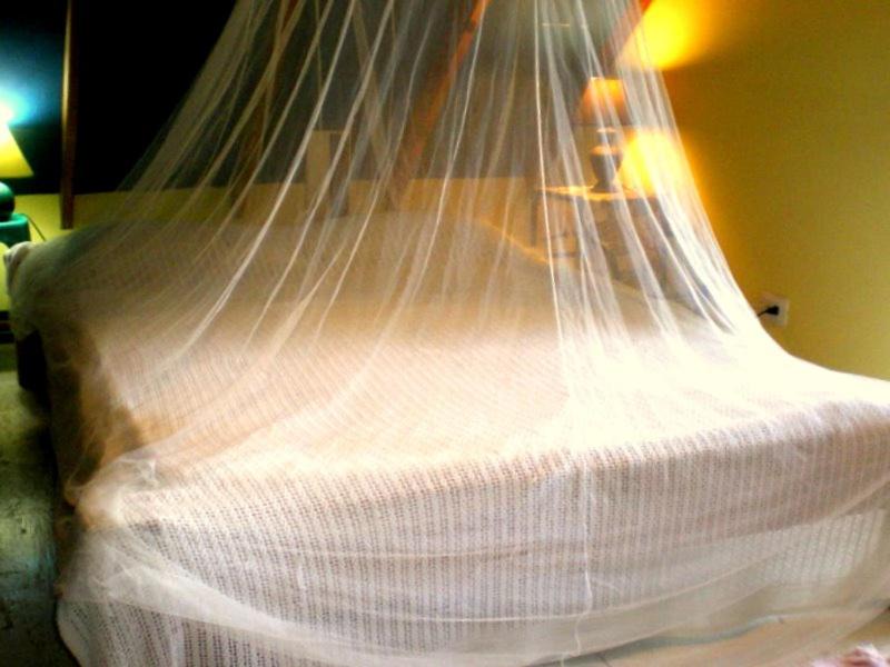 Photo of Bedroom in Las Galeras