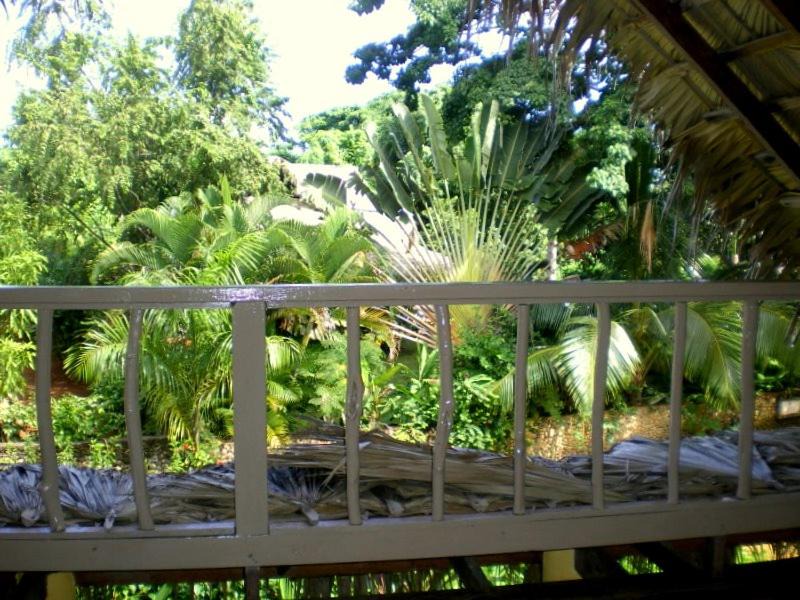 Photo of Others in Las Galeras