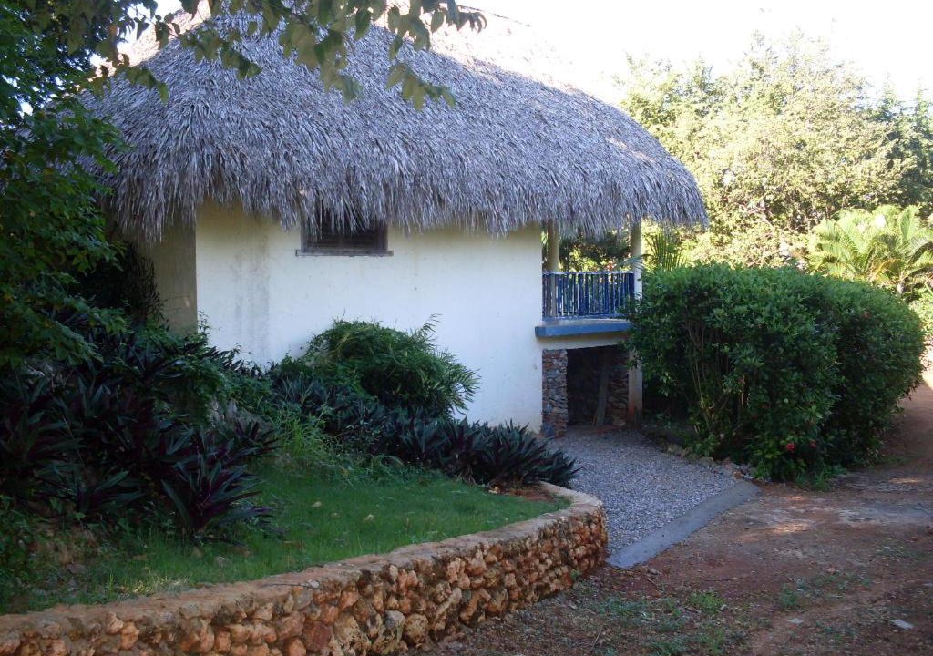 Photo of Others in Las Galeras