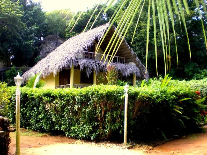 Photo of Others in Las Galeras