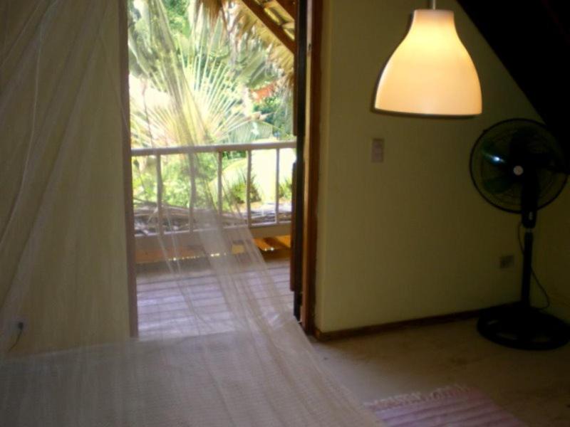 Photo of Others in Las Galeras