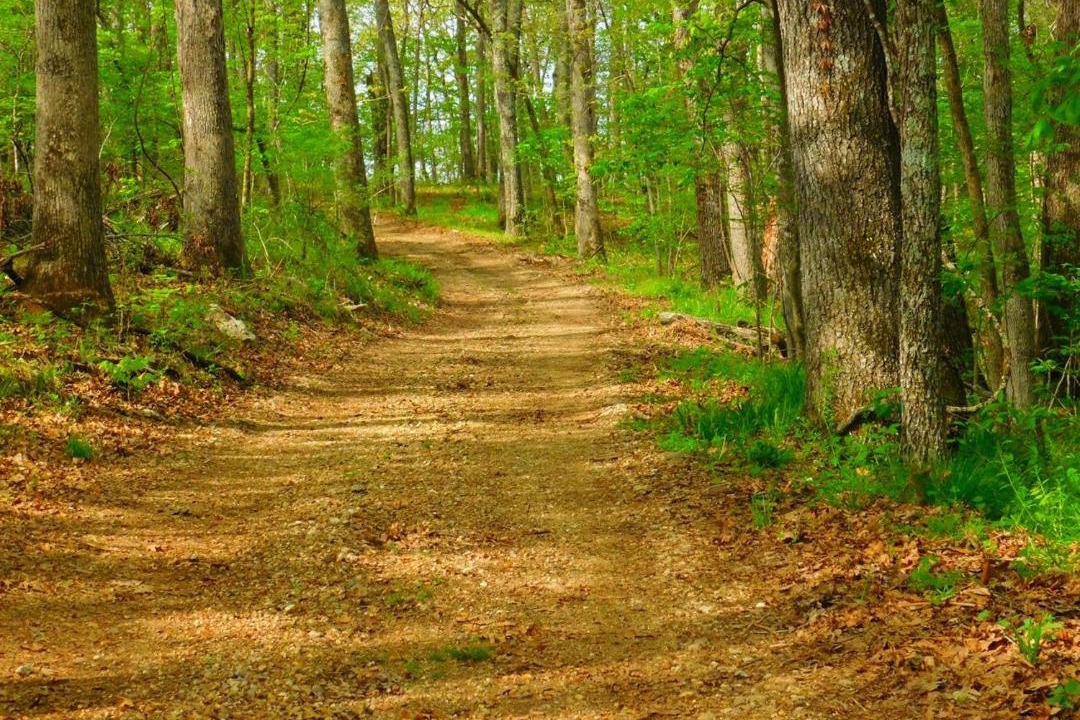 Photo of Outdoor in Dixon